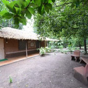 Coconut Log House